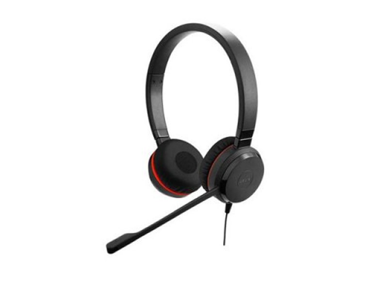 Jabra Evolve 20 DUO USB Black Headphone