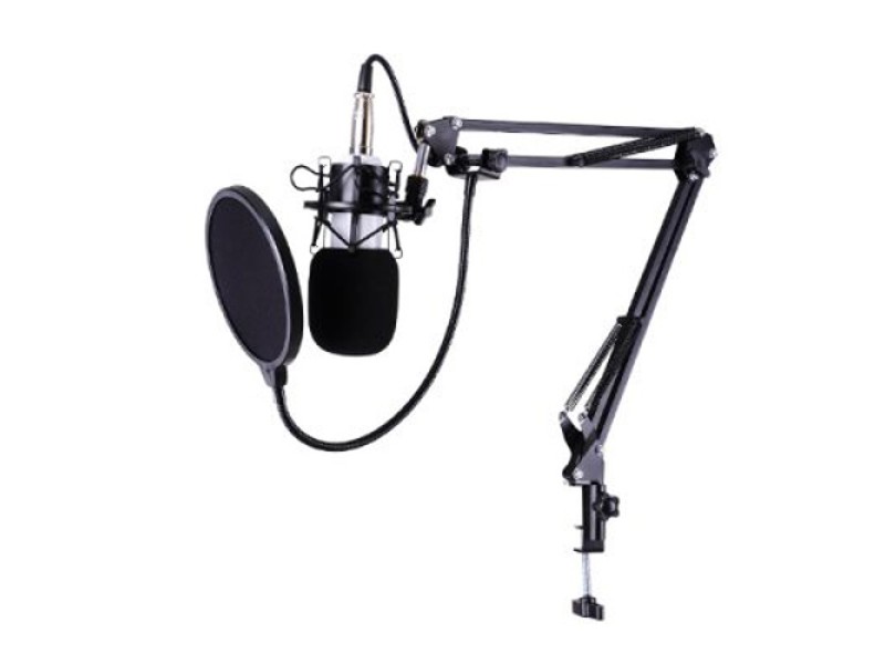 BM-700 Condenser Sound Recording Microphone