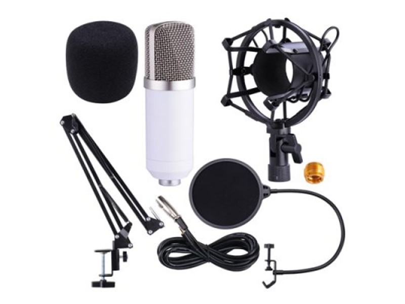 BM-700 Condenser Sound Recording Microphone