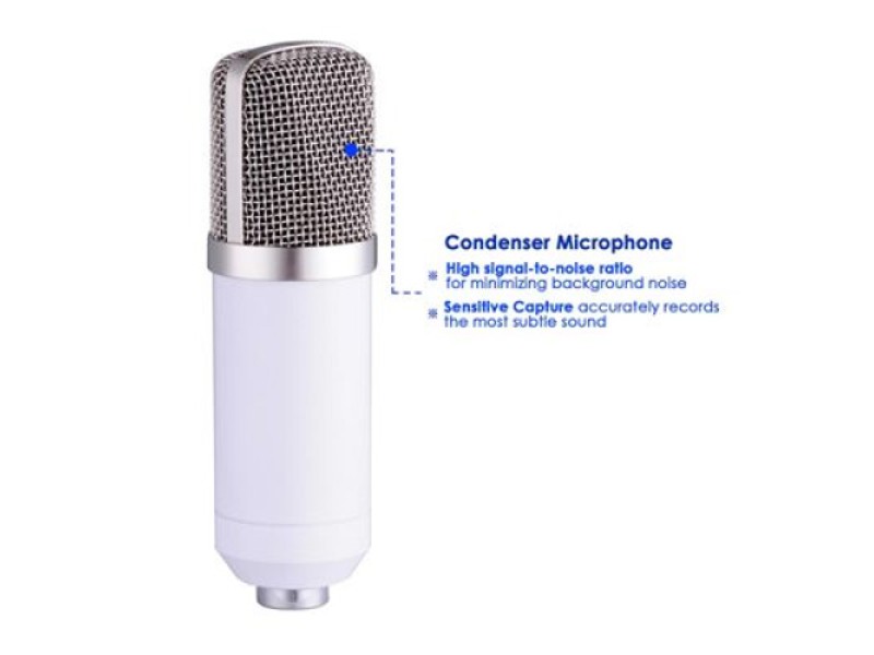 BM-700 Condenser Sound Recording Microphone